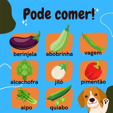 cães podem comer beterraba,Mais